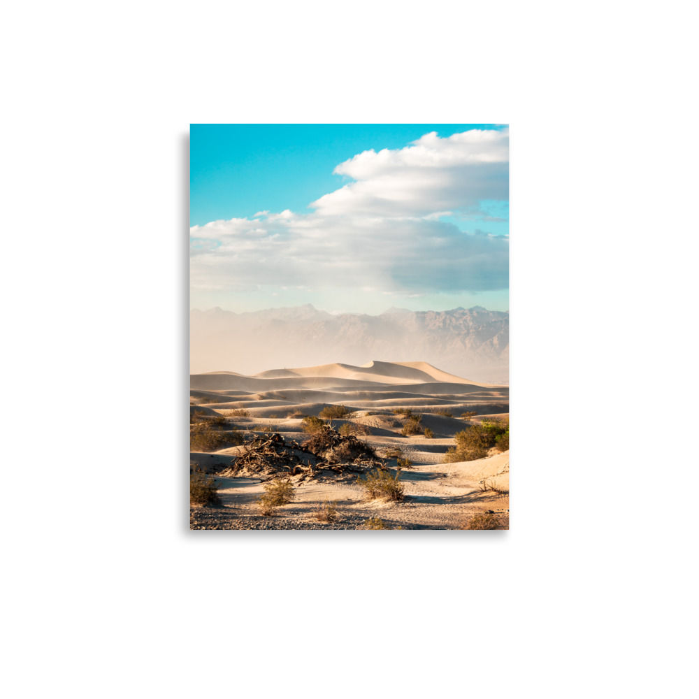 Mesquite Sand Dunes