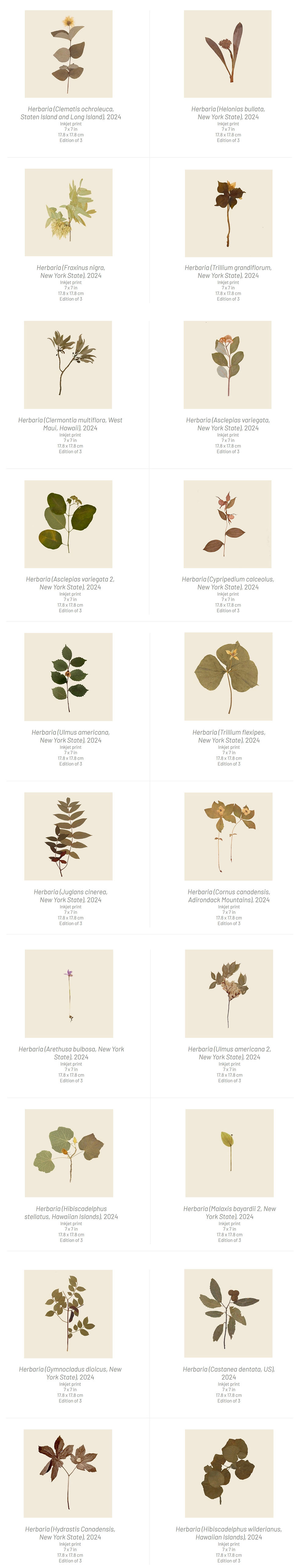 herbaria website.jpg