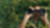 Binoculars 2.png