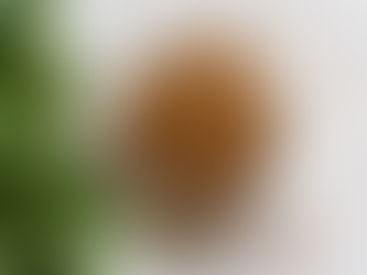 Complete guide on how to use fenugreek seeds