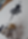 Captura_de_Tela_2019-06-02_às_15.53.35.p