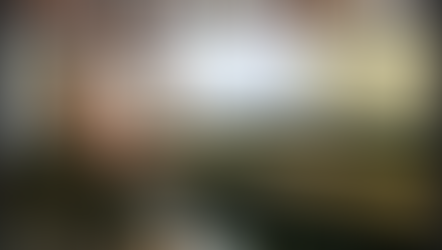 Regular Meeting 44, October 4, 2022 (Online)