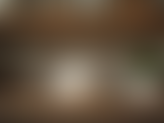 Pet Cremation Price Guide: Pet Cremation Costs - What to Expect