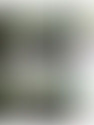 Shutter Speed