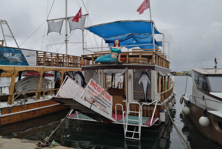 IMG_20220506_111608.jpg
