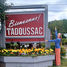 Tadoussac, Quebec - Whale Watching & Montmorency Falls