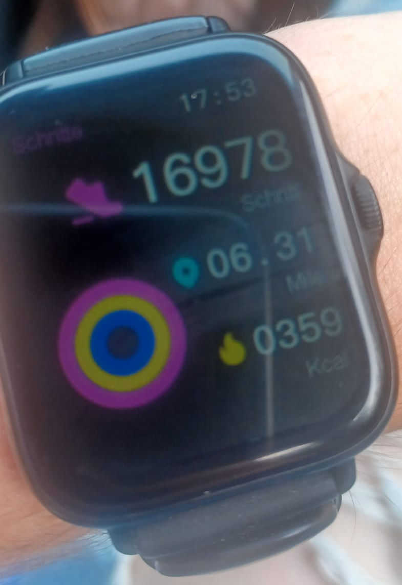 step counter on watch