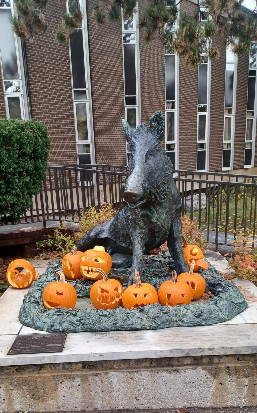 our mascot ready for Halloween