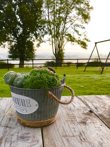 Vue