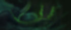 banner_web.jpg