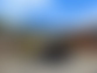 奇跡の低走行車♪