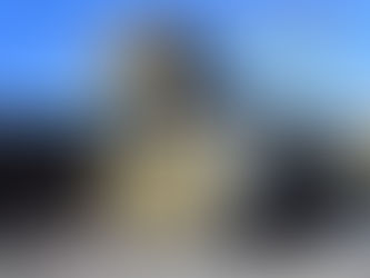 どうぞお好きな場所でおくつろぎください