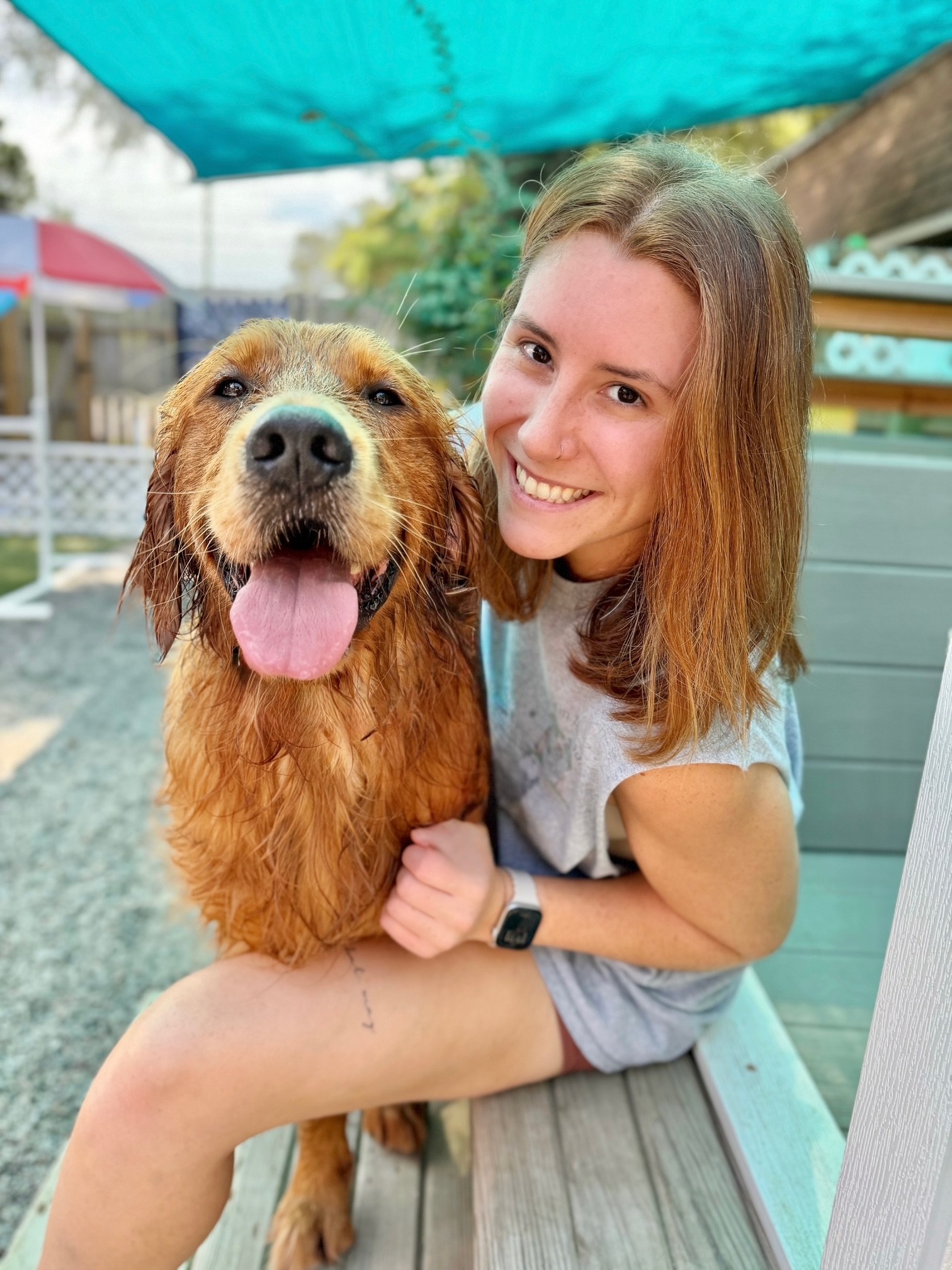 Paws in Paradise, business photo 5