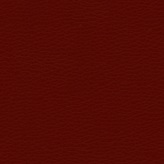 fond-cuir.png