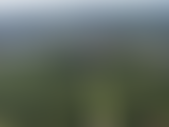 Hamburgs Stadtteile im Fokus: Wo verkaufen sich Immobilien am schnellsten?