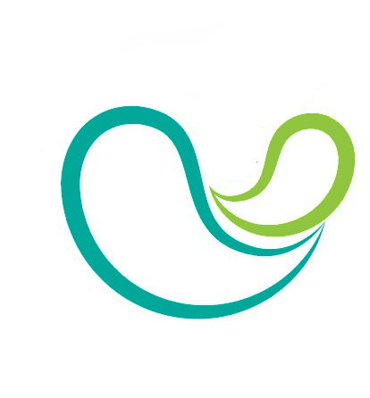 Aarsiv Groups logo