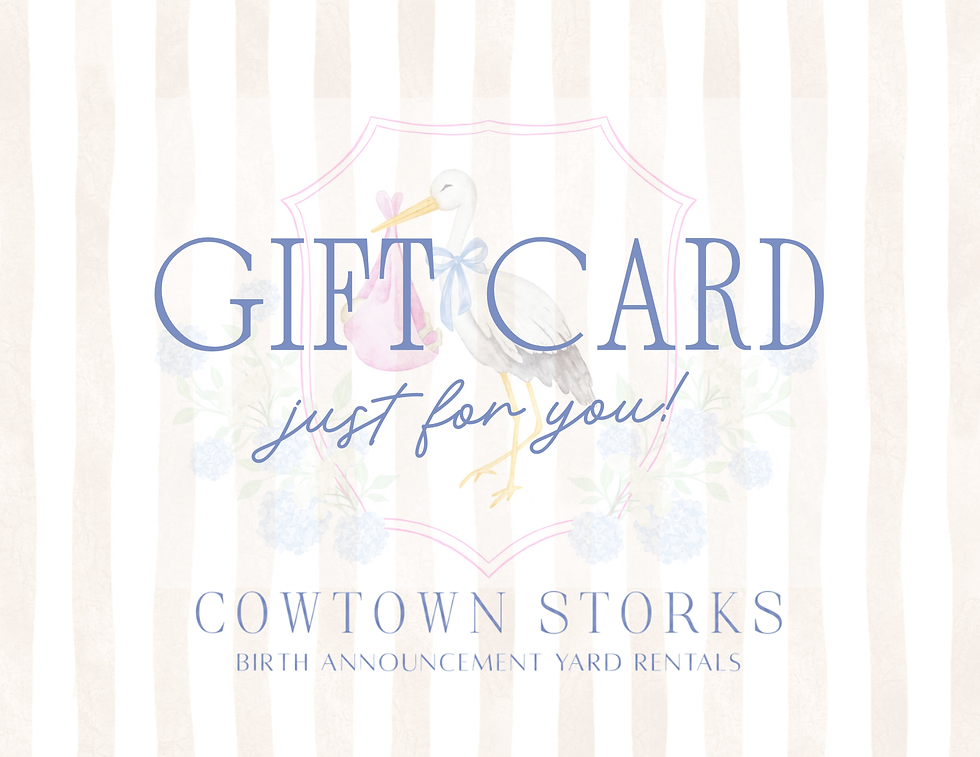 7 Unique Baby Shower Gift Ideas in Fort Worth, Aledo & Cowtown Beyond