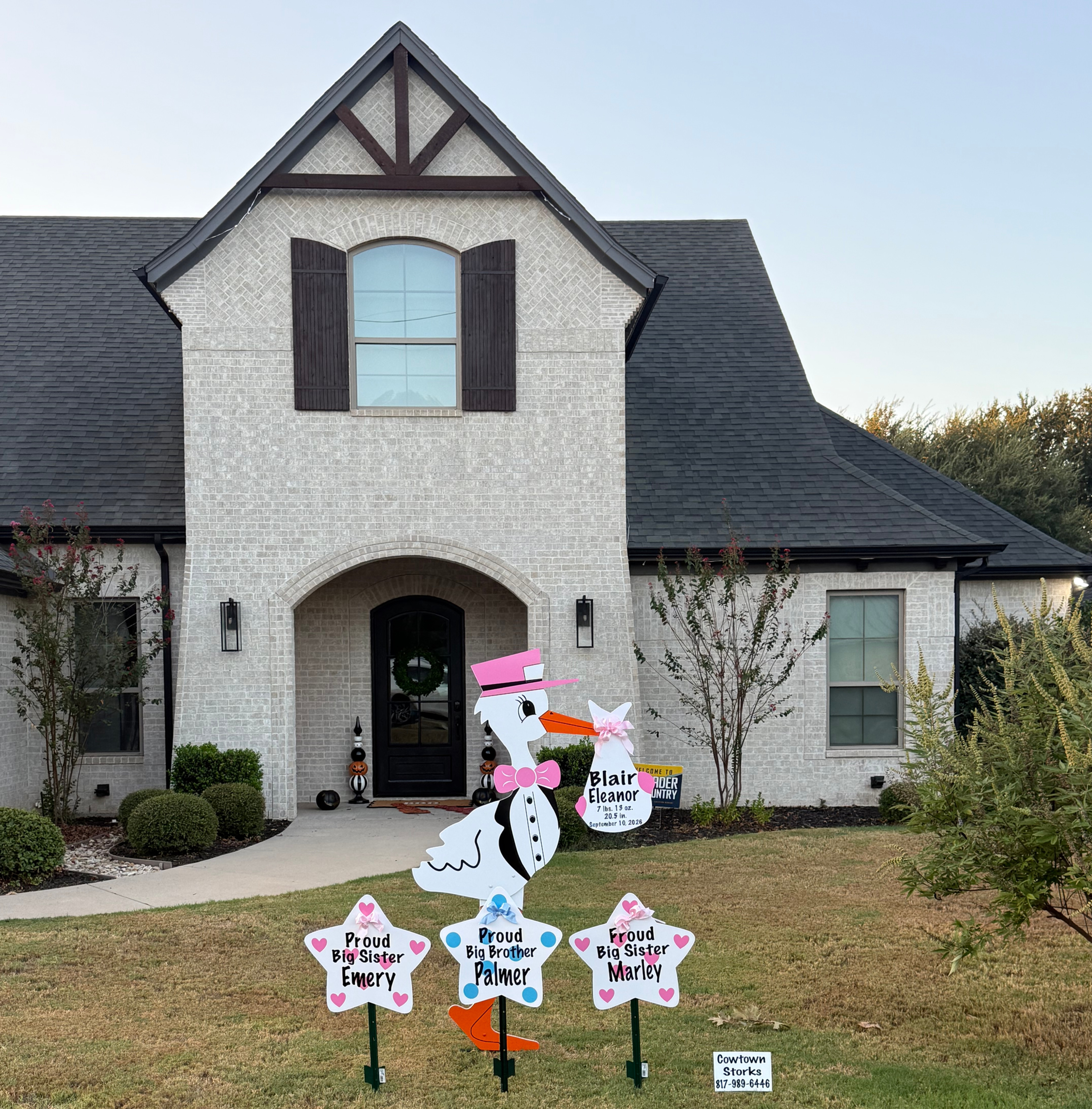 Personalized new baby stork yard sign rental in Fort Worth TX