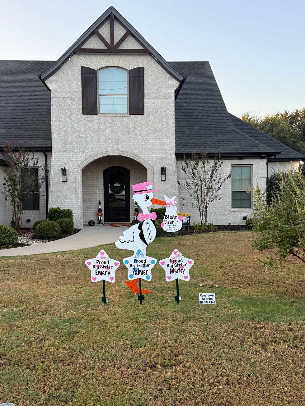 Personalized new baby stork yard sign rental in Fort Worth TX