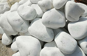 IMG_20200731_135242.jpg