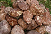 IMG_8242-max-800x600.jpeg