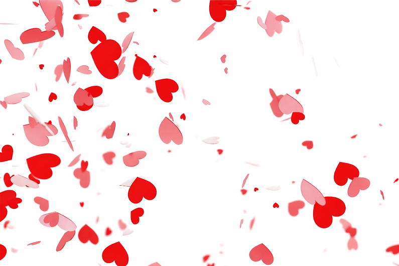 8662db3d-f40a-4937-b164-012695a6b204 (1).png