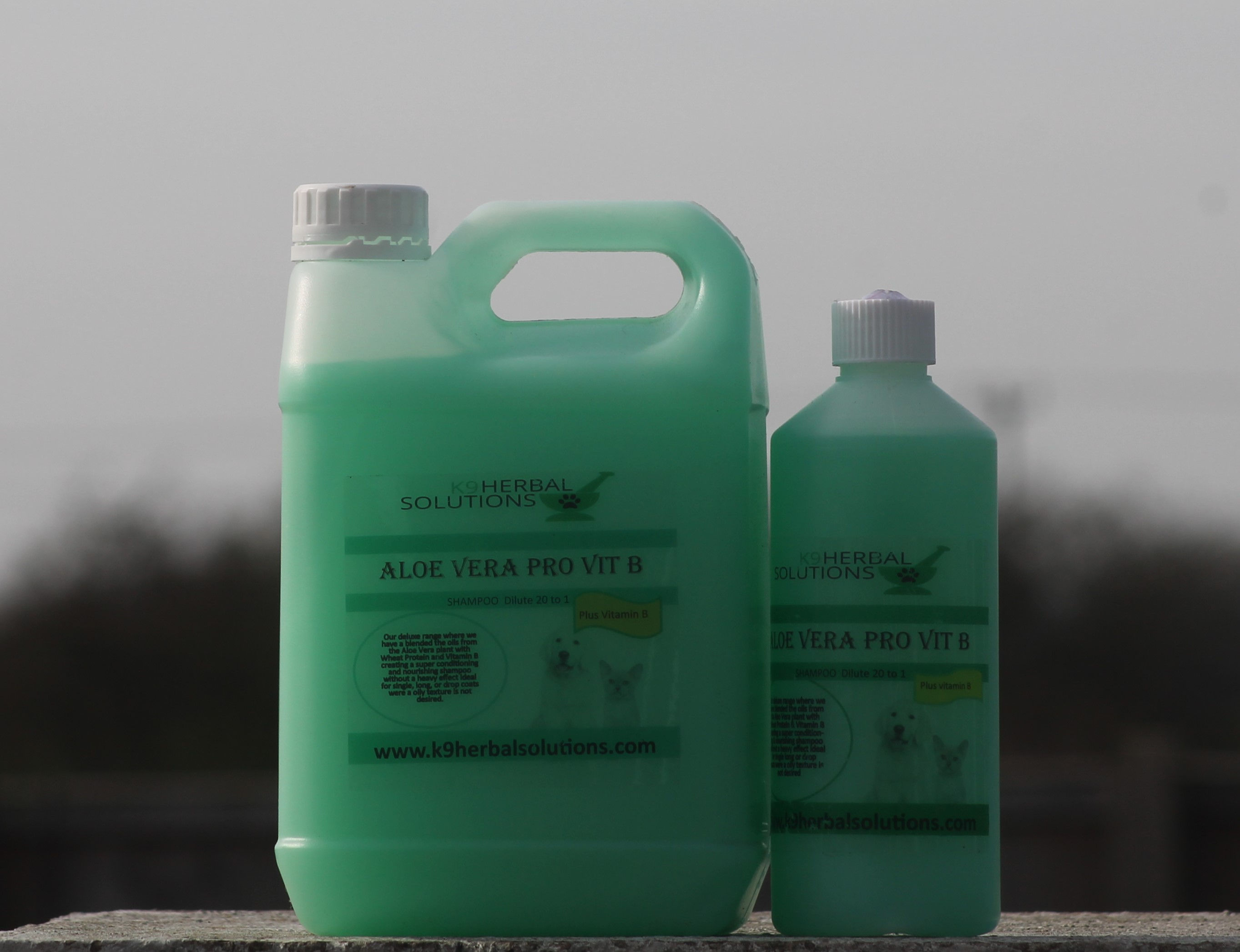 Aloe Vera Pro Vit B Shampoo