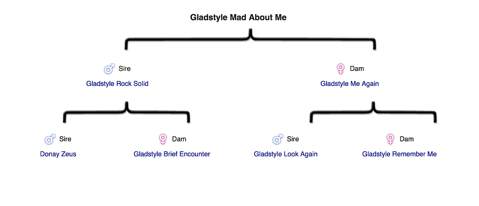 Pedigree of Abby