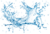 Splash