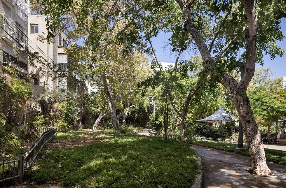 Body-Mind City: A Balancing Space in the Spirit of Geddes