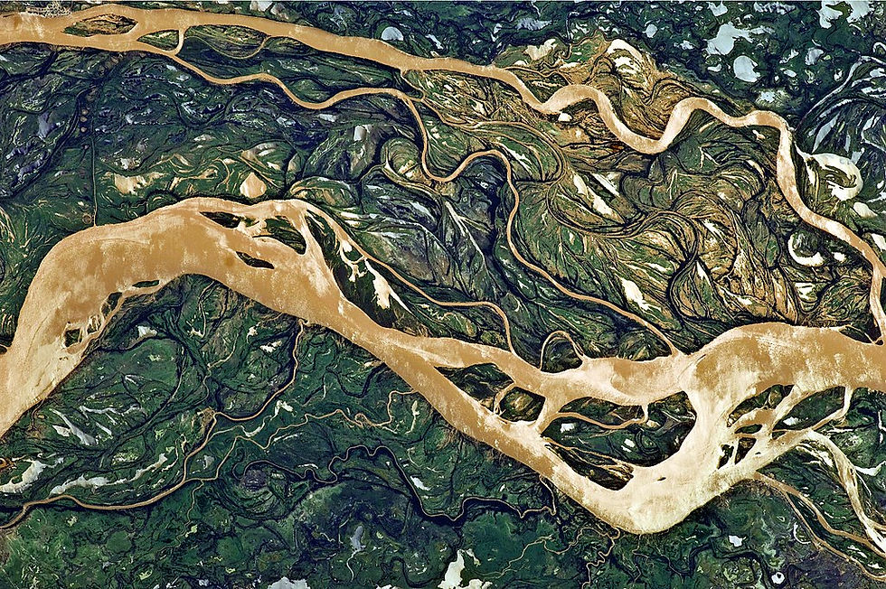 What Water Remembers: Reflections on the Source of Life