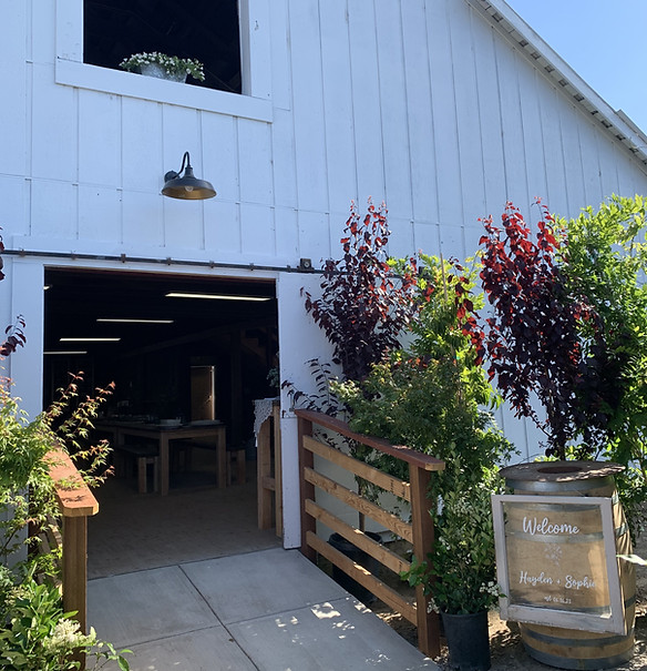 Barn.jpg