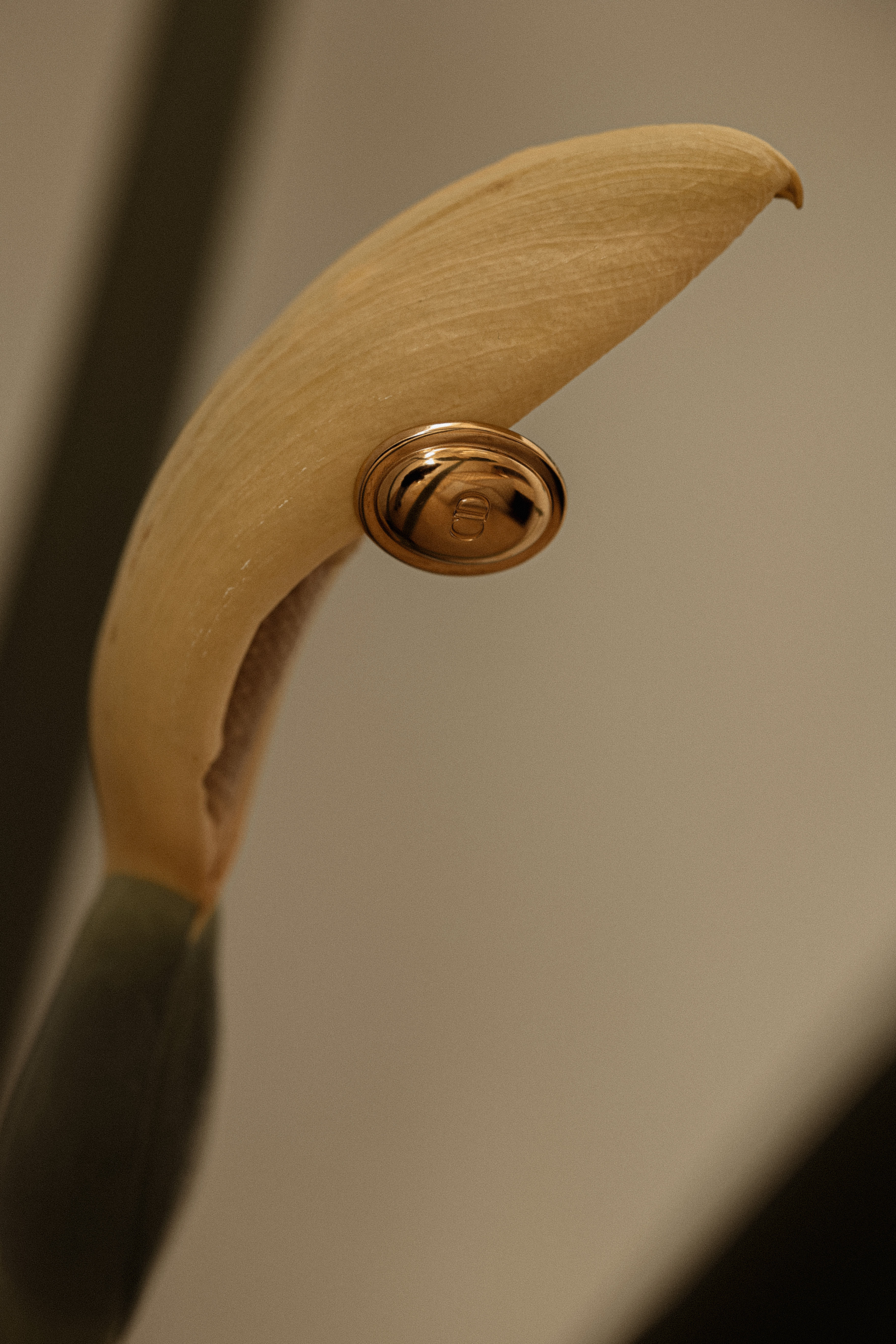 Dior vintage clip-on earrings