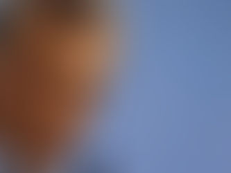 Macri: "Perón se afiliaría a Juntos por el Cambio" y "No me arrepiento de haber ido al FMI"