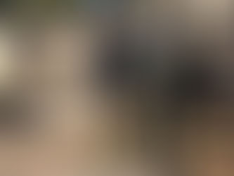 Desbaratan banda narco y detienen a su líder que estaba prófugo desde hacía 10 años por asesinatos