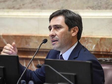El jefe del bloque PRO en el Senado sobre el pliego de Michelli: “Fue un capricho del Presidente haberlo levantado”