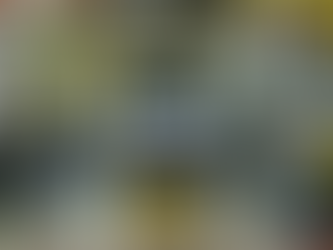 Los nuevos dueños de Mercedes Benz garantizaron que no habrá despidos y apostarán a los autos eléctricos