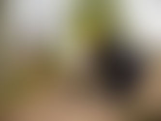 Avanzan las obras de agua en la Ribera de Quilmes