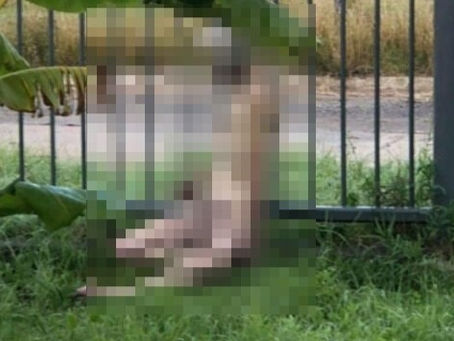 Horror y misterio en Quilmes: hallan a un hombre colgando de una reja sin vida y desnudo