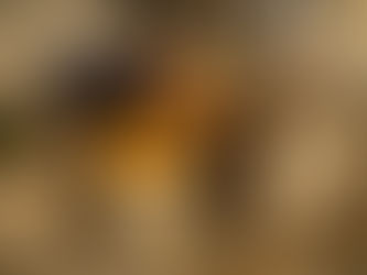 Potenciar Trabajo: avanzan las obras de refacción y puesta en valor del espacio público de Quilmes