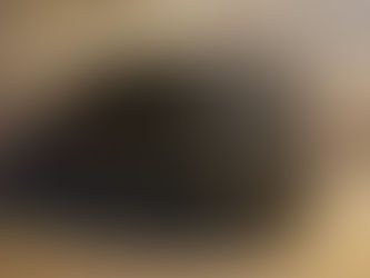 Aprehenden a un joven acusado de robar dos autos con dos cómplices en pocos minutos