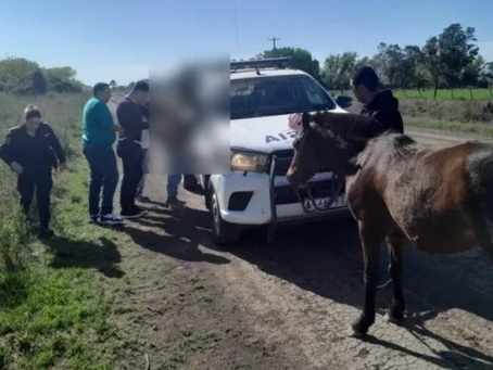 Pelea callejera terminó en un brutal crimen: mató a un joven a cuchilladas y quiso fugarse de la policía montando un caballo