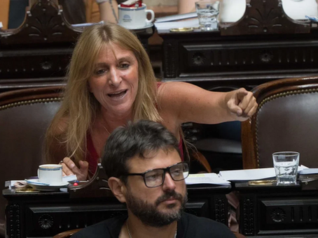 Carignano: “El ladrón, corrupto y chorro de Adorni se robó hasta el agua de los floreros"