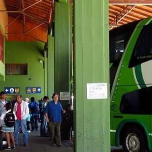 Bariloche: desafectaron a un chofer tras dar positivo en el test de alcoholemia