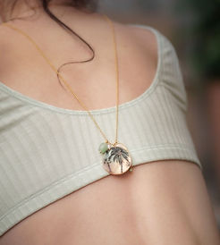 heley site zab bis .jpg