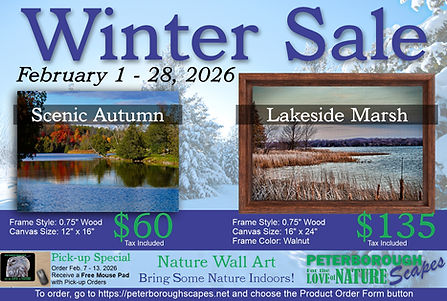 Feb Sale 12 x 16 canvas $60, 16 x 24 framed canvas $135