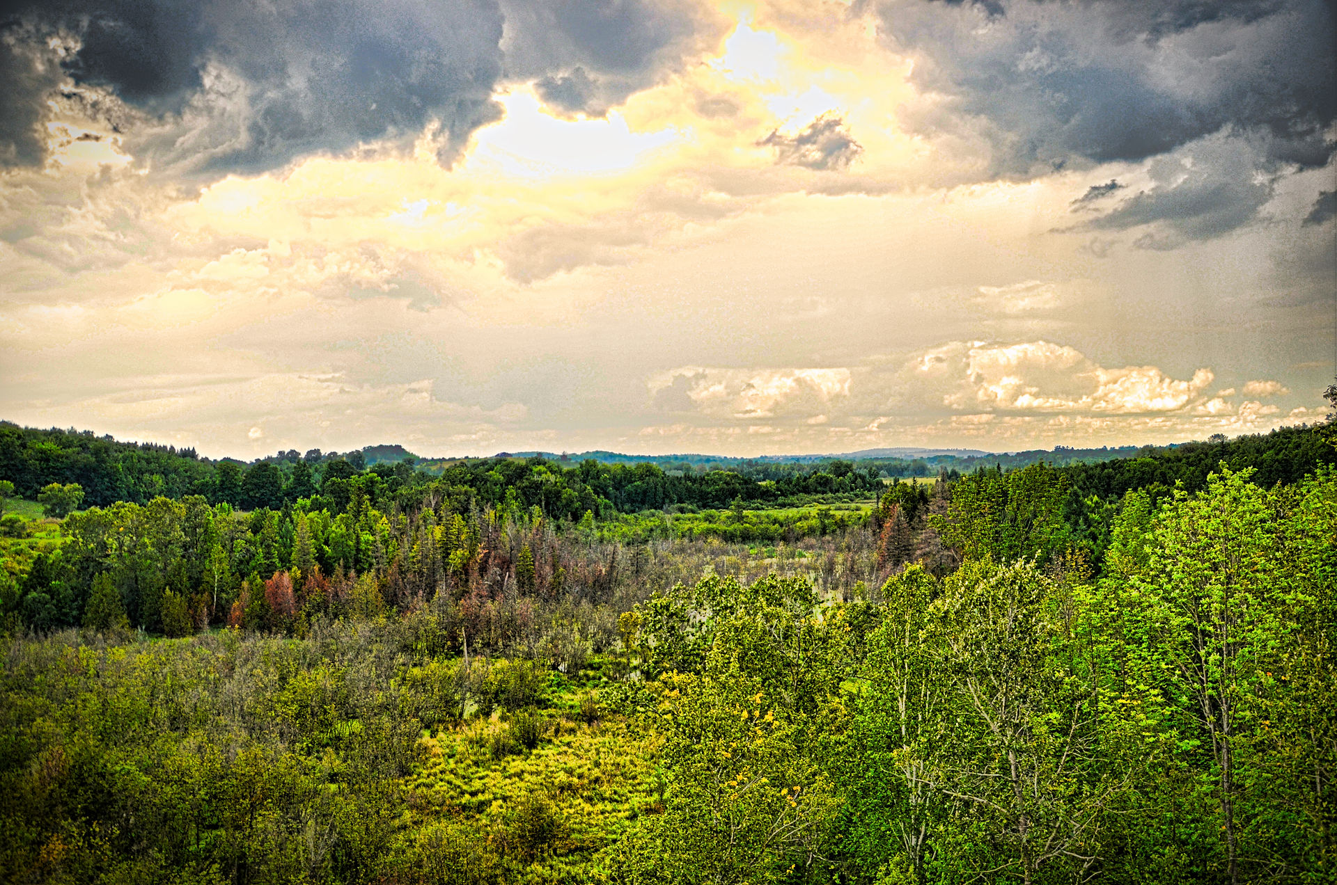 View of the lush green Buttermilk valley from Doube's trestle bridge