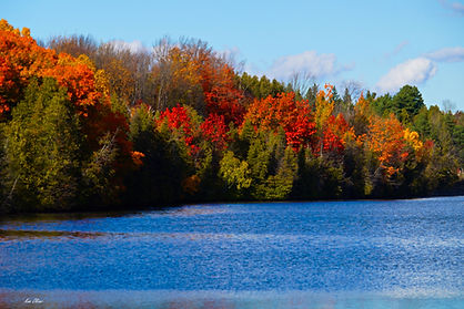 Nassau Mills in Autumn