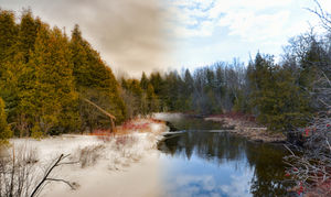 Merging photos from different seasons creates some stunning images. In the photo winter merges into spring.