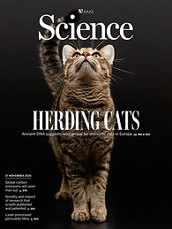 science.2025.390.issue-6776.largecover.jpg